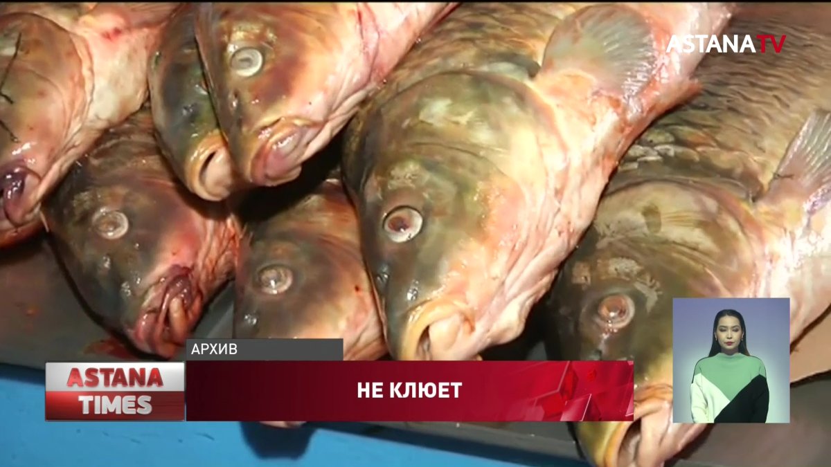 Вдвое сократилось производство рыбы в Казахстане