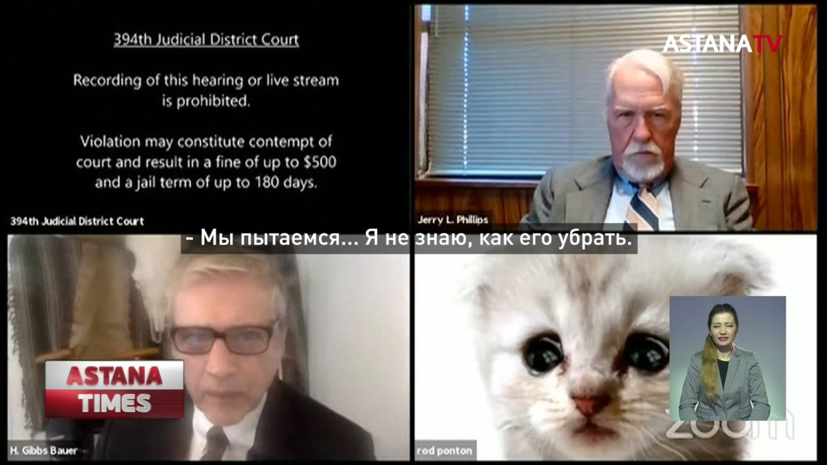 Техасский адвокат случайно появился на заседании суда в маске кота