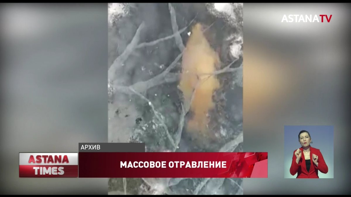 Причину массовой гибели рыбы назвали в Актюбинской области