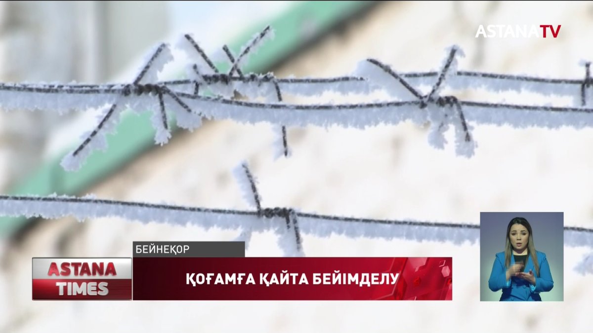 Елде бір апта ішінде 3 мыңнан астам қылмыс дерегі тіркелген