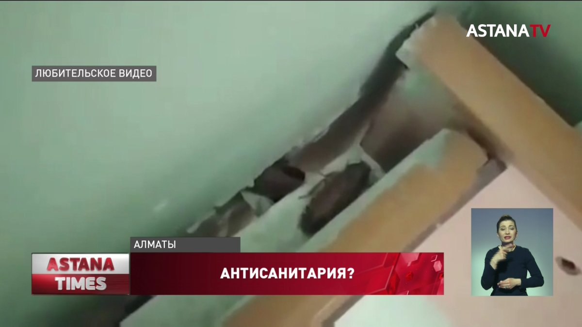 На крыс и тараканов в одной из больниц пожаловались алматинцы
