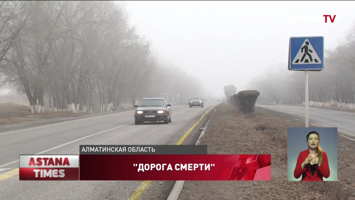 Водитель «Toyota» насмерть сбил мать с ребенком на пешеходном переходе в Алматинской области