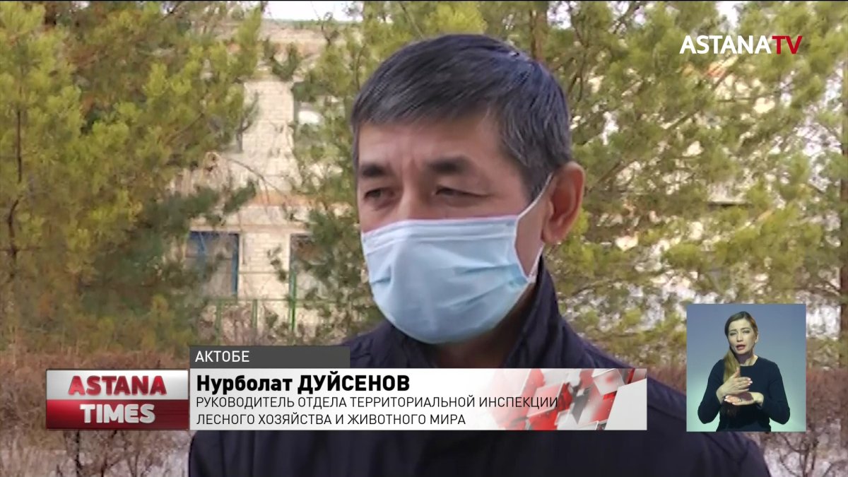 Массовая гибель рыбы произошла в Актюбинской области