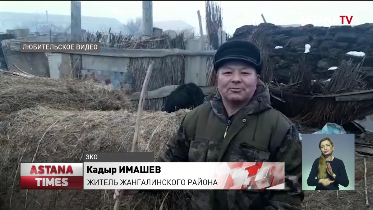 Фермеры массово режут скот из-за нехватки кормов в Западном Казахстане