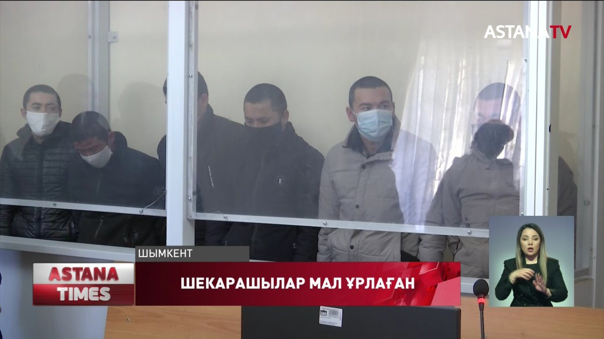 Түркістан облысында мал ұрлаған шекарашыларға сот үкім кесті