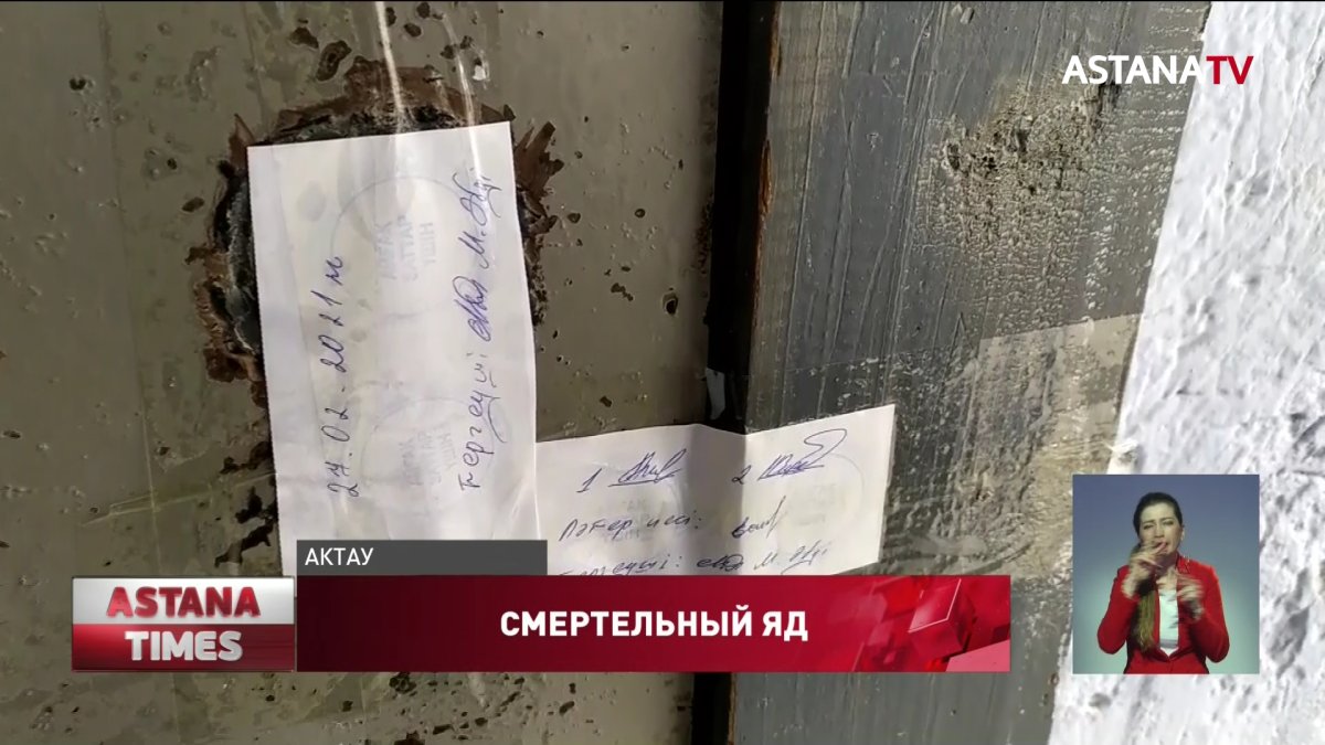 Смертельная травля клопов в Актау: двое в реанимации