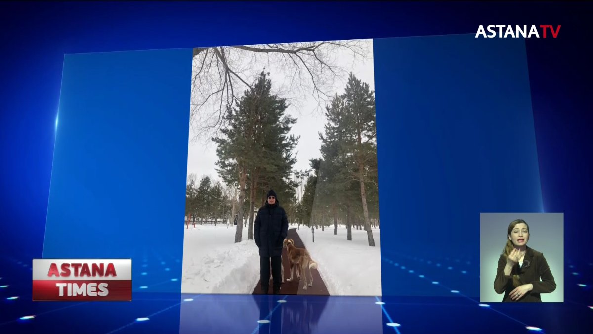 Собаки породы тазы на фото принадлежат Президенту