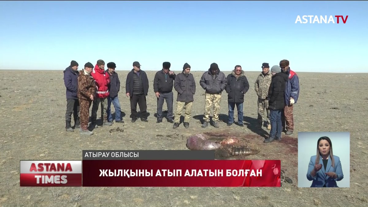 Эротикалық элементтері бар лирикалық фильмді көру