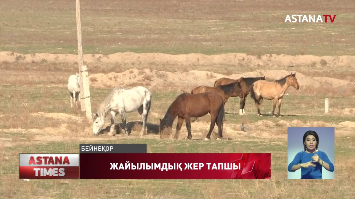 «Жайылымдар туралы» Заң өңірлерде әлі күнге жұмыс істемей келеді, - депутат