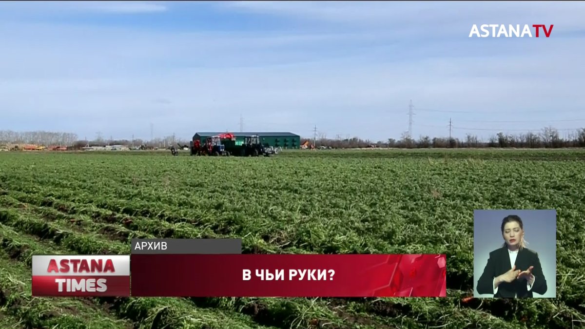 В Казахстане могут совсем запретить продажу земель