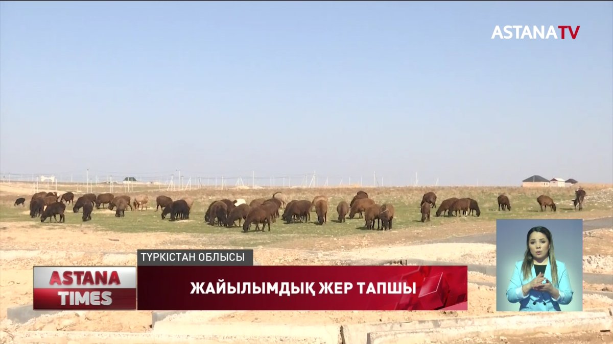 Түркістан облысының мал жаятын жер қалмағаны ма?