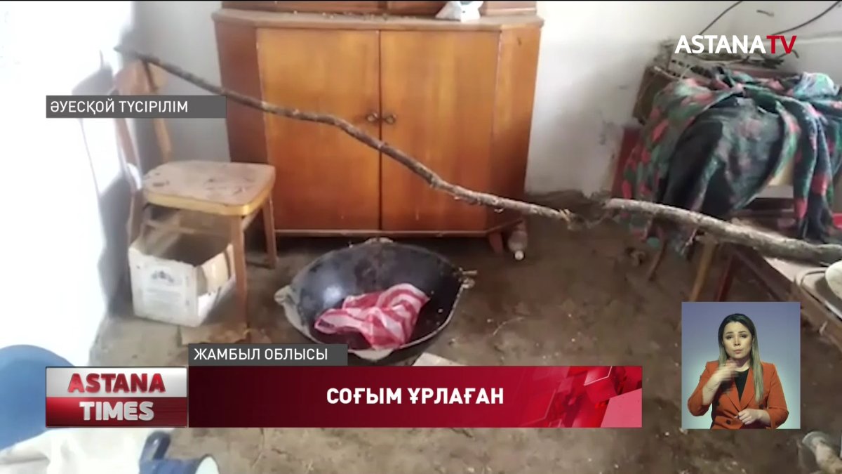 Жамбылда күйеу бала қайын жұртының соғымын ұрлап кеткен