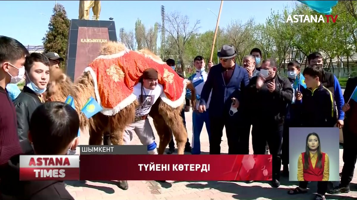 Шымкенттік балуан 400 келіге жуықтайтын түйені көтерді
