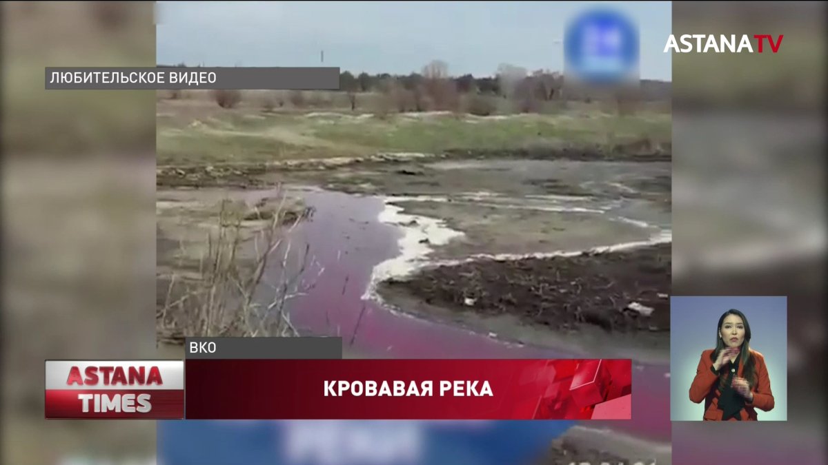 Кровавая река напугала жителей Семея