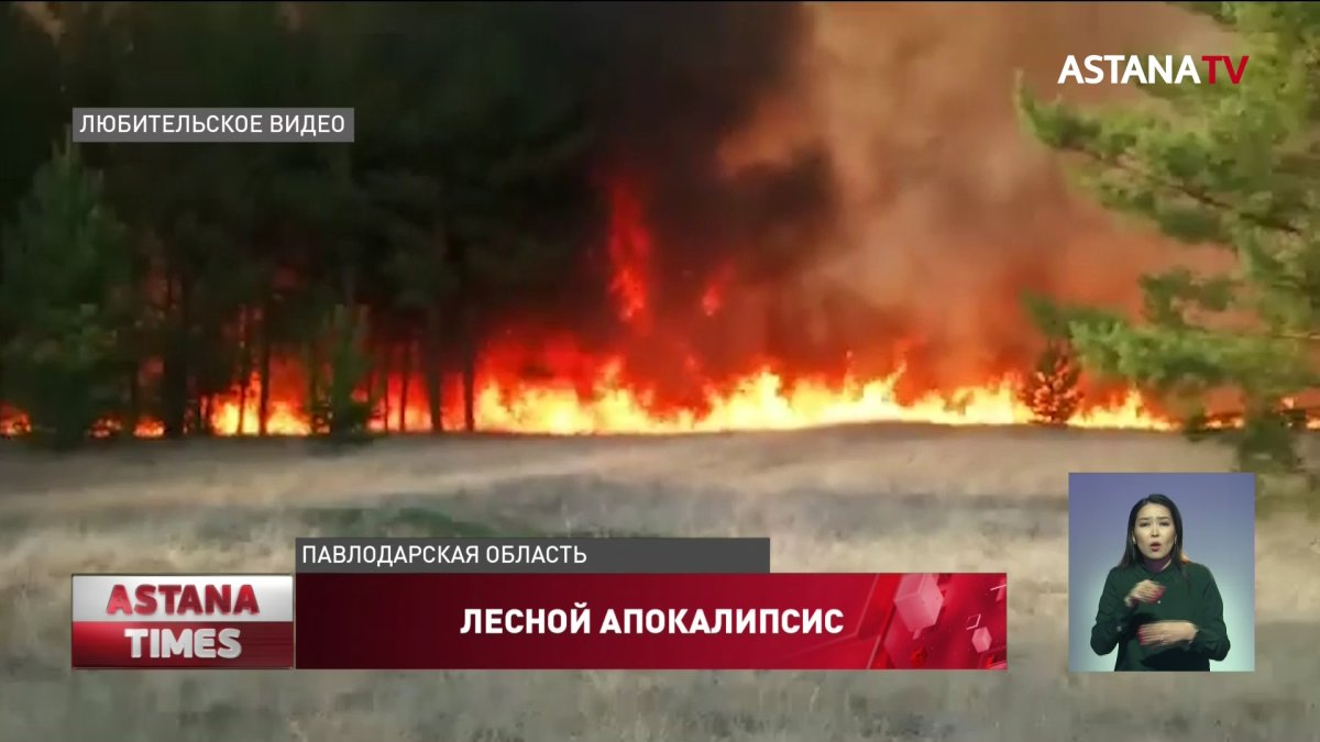 Больше суток тушили пожар в сосновом бору в Павлодарской области