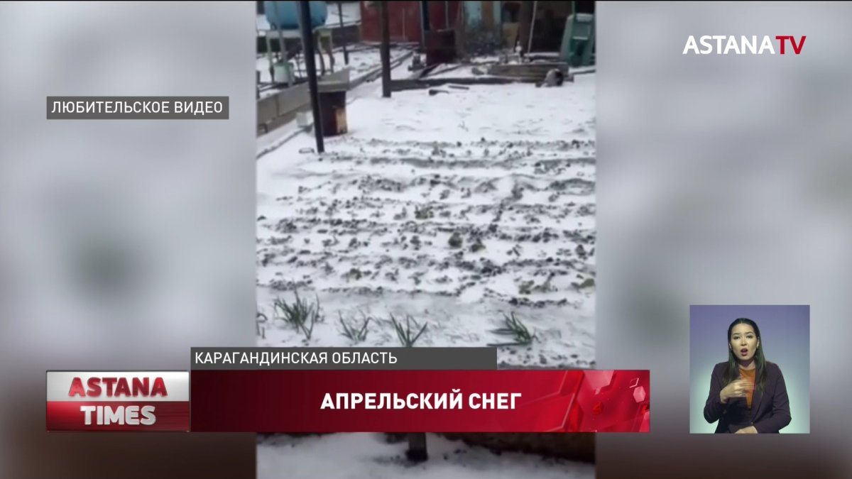 Апрельский снег погубил местные огороды балхашцев