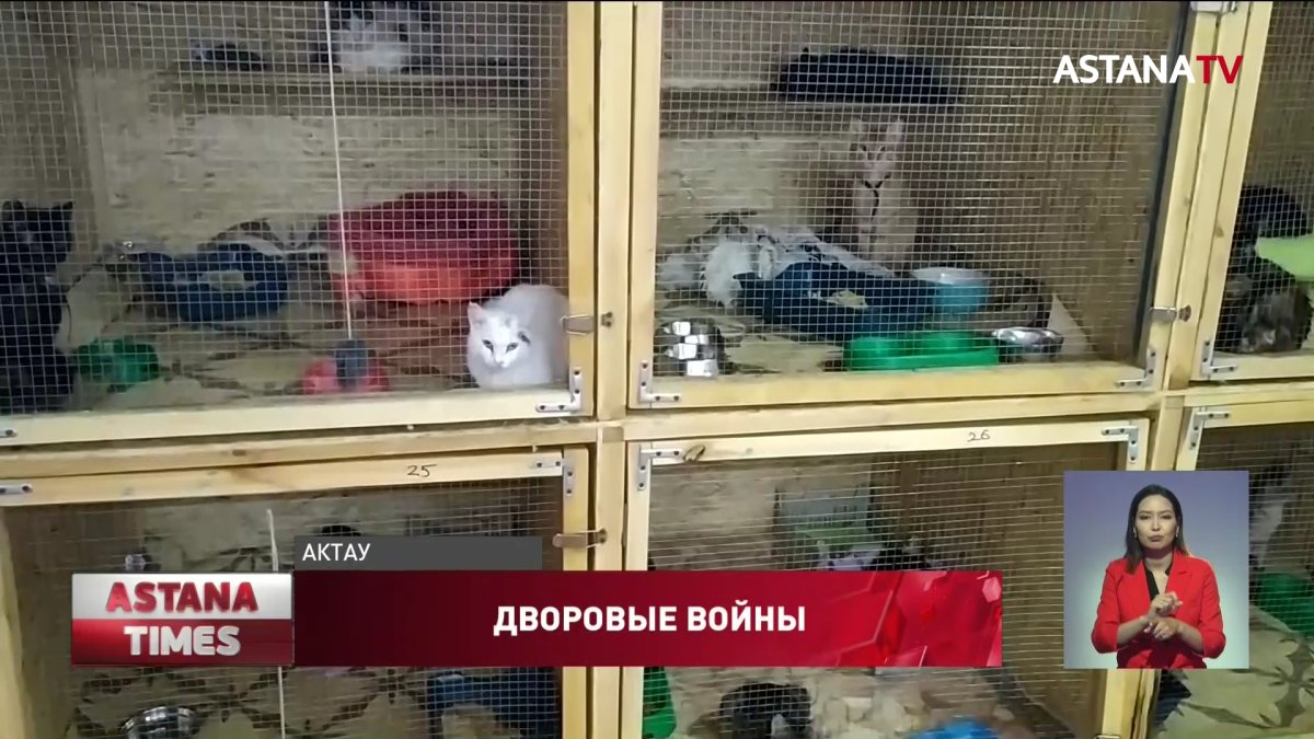 "Вооруженный" ребенок стал причиной дворовой войны в Актау
