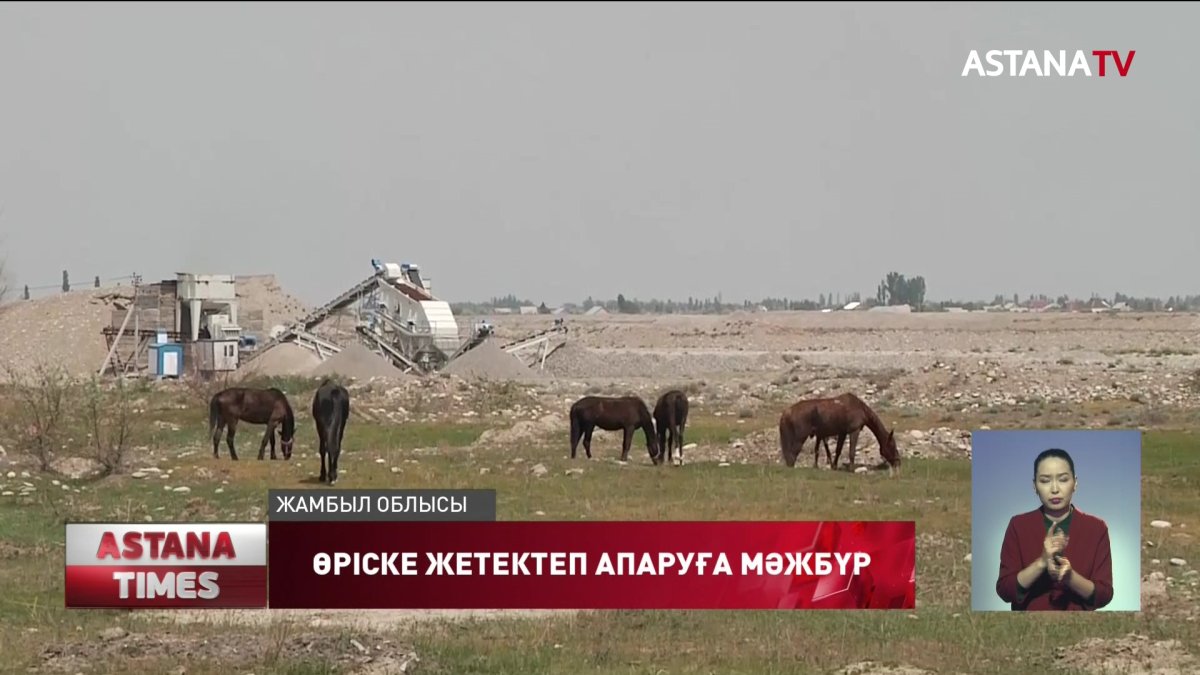 Жамбыл облысының тұрғындары төрт түлігін жайылымға жетектеп апаруға мәжбүр