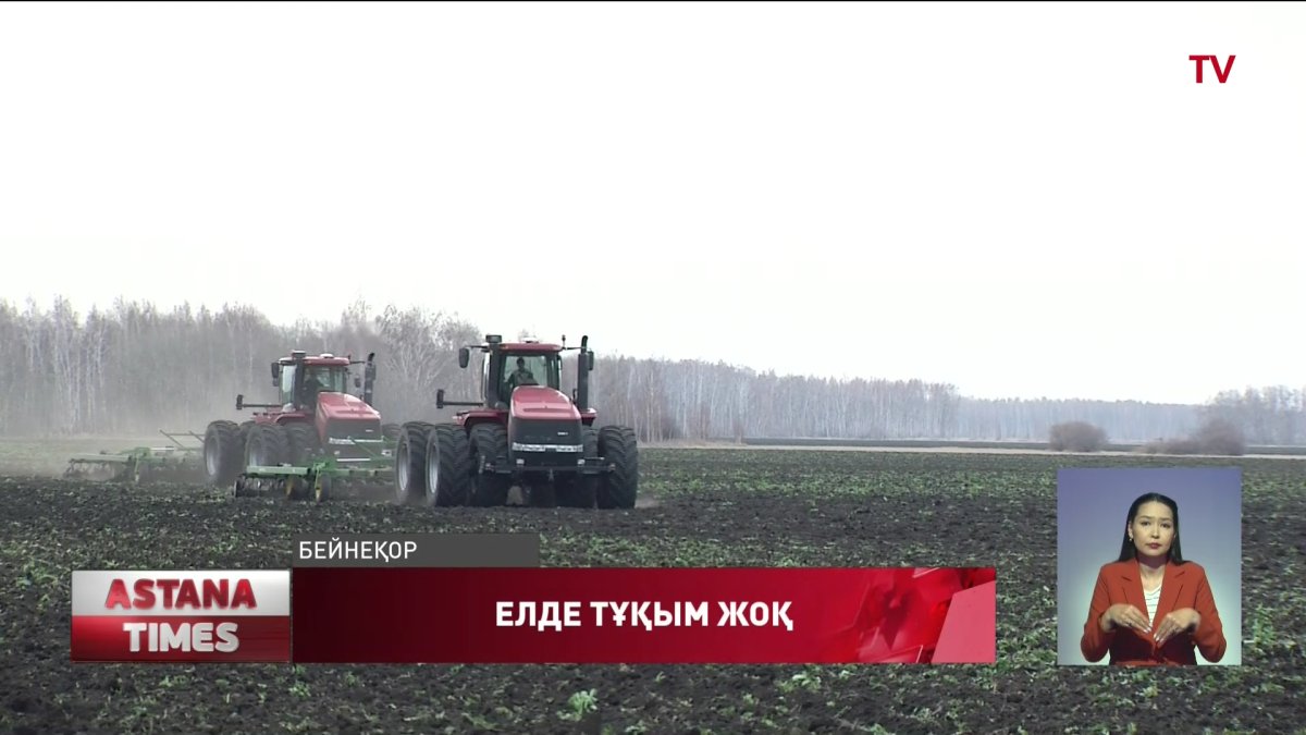 Диқаншылар тұқымды сырттан тасымалдауға мәжбүр, - сенатор