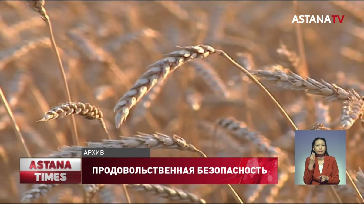 Казахстан теряет свою продовольственную независимость, – сенатор