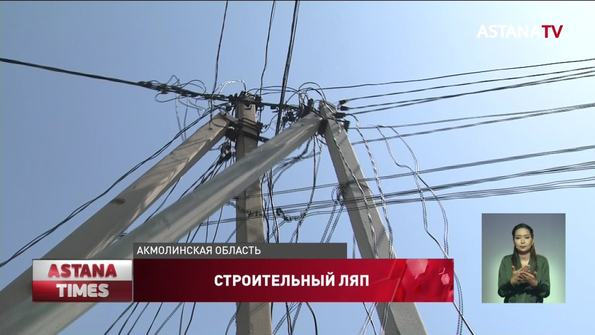 Сети-"муляжи" по госпрограмме провели в Акмолинской области