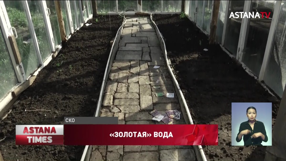 Сельчане отказываются от огородов и скотины из-за дефицита воды в СКО