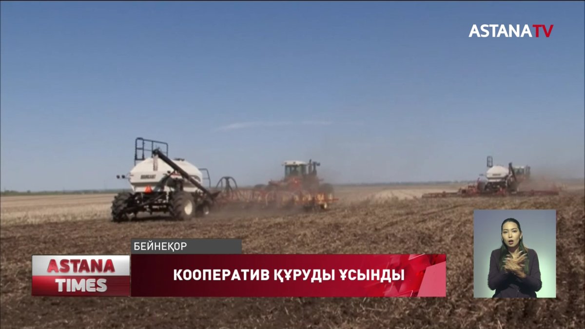 Сенатор  ауыл шаруашылығы кооперативтерін құруды ұсынды