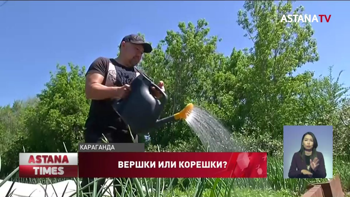 Карагандинские дачники боятся уйти под землю из-за близости шахты