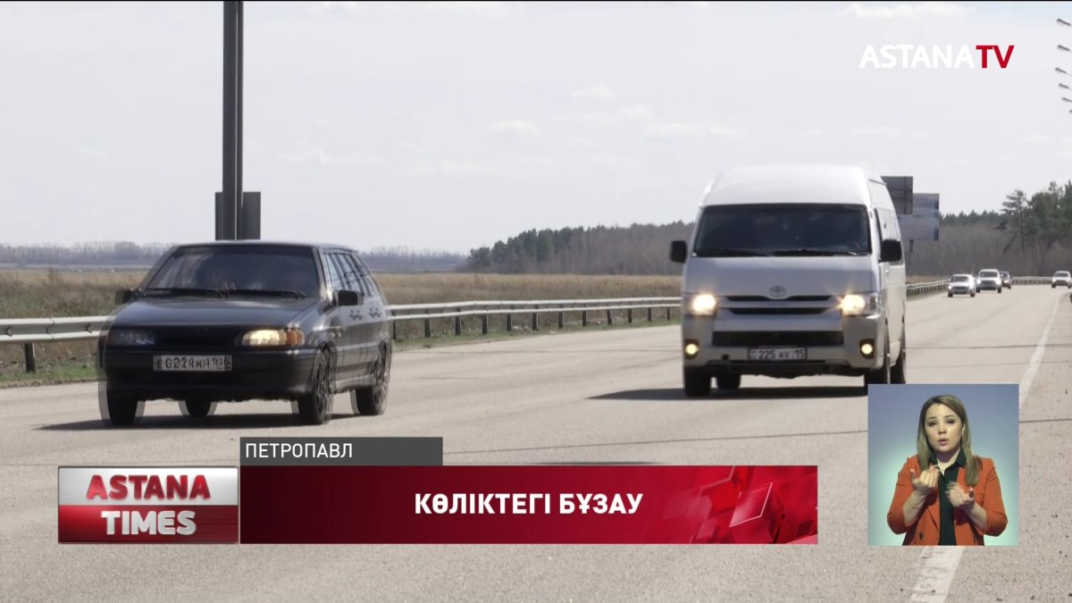 "Ауди" көлігінде кетіп бара жатқан бұзау желінің жұлдызына айналды