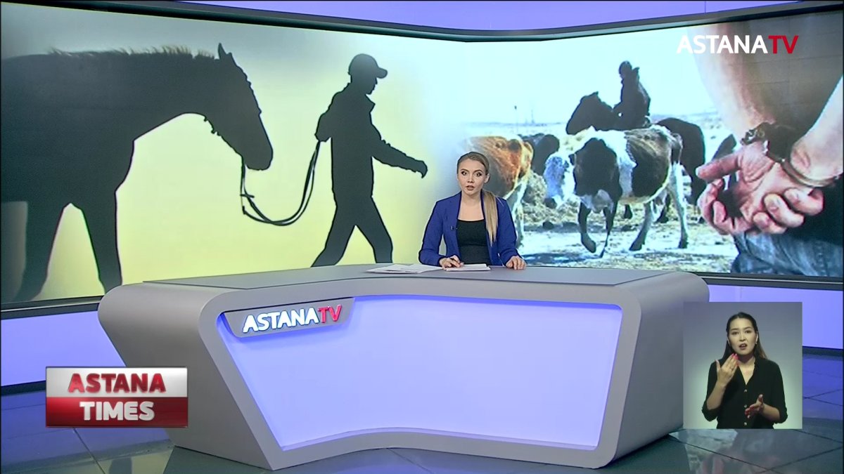 Вооруженных до зубов скотокрадов задержали в ЗКО