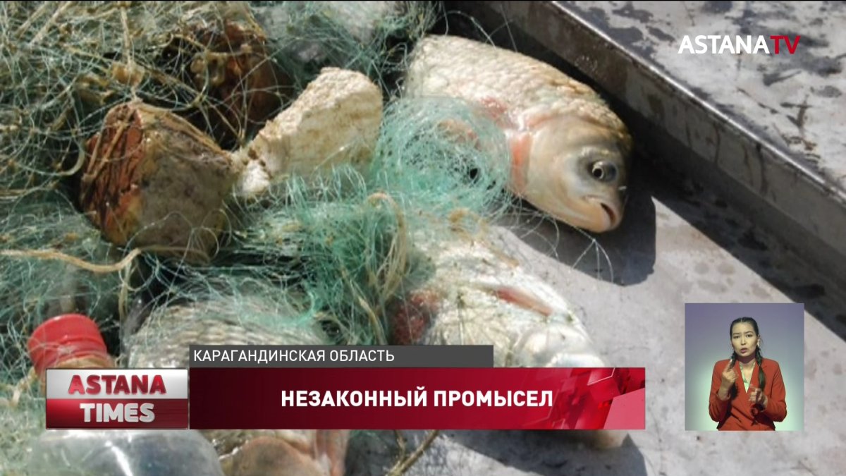 Полицейские на Балхаше задержали 200 браконьеров за месяц