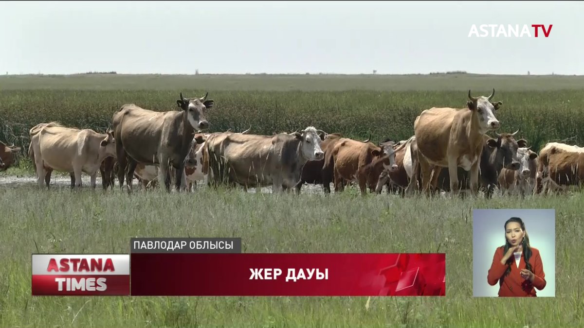 Павлодарда жайылымдық жерге егін екпекші болған