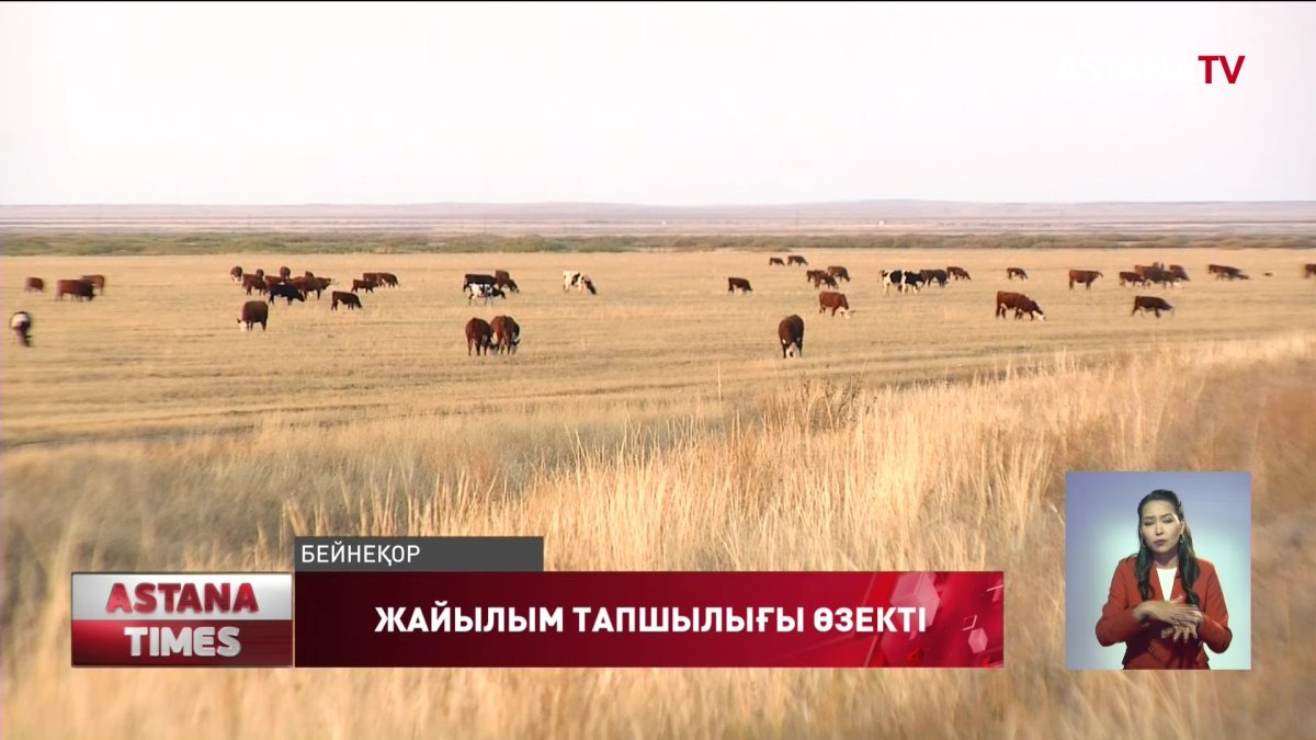 Елді-мекендердің айналасына қосымша жайылымдық жерлер бөлу қажет - "Nur Otan" партиясы