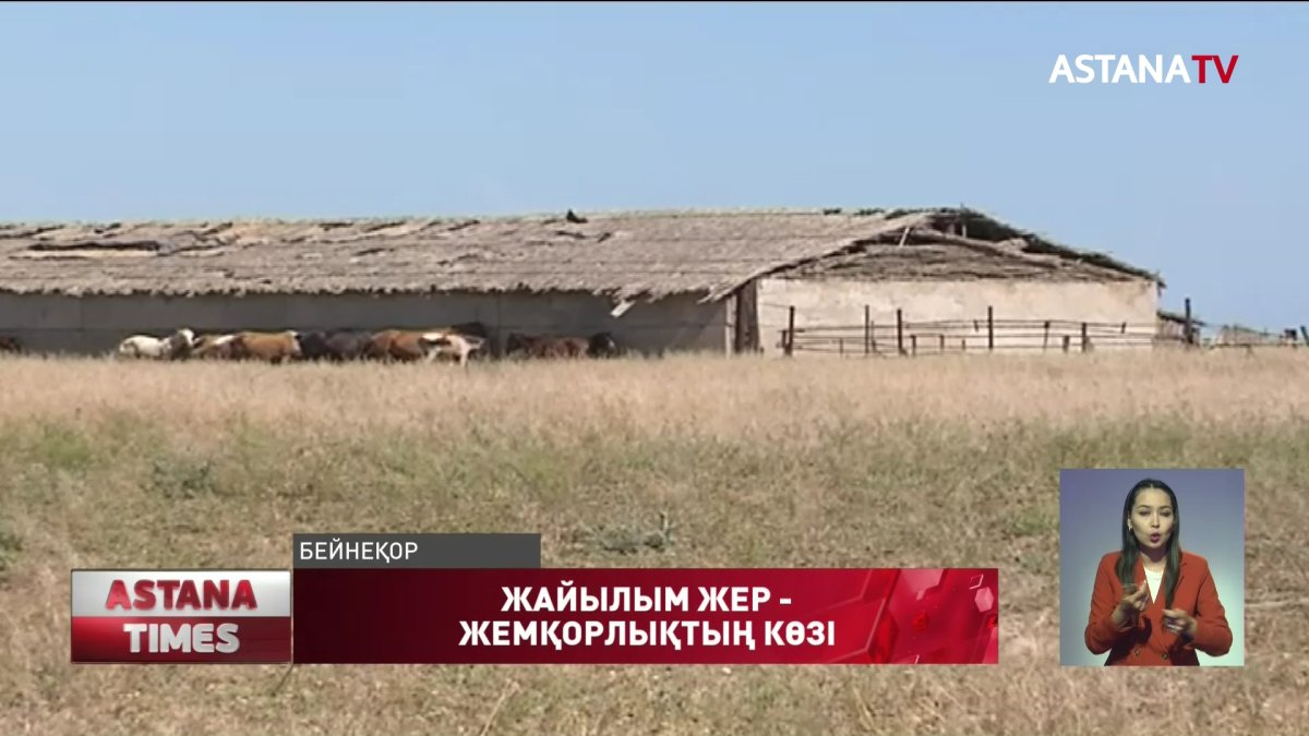 Халыққа 32 миллион гектар жайылым жер керек