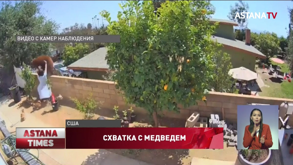 Американка вступила в схватку с медведем, чтобы защитить собаку