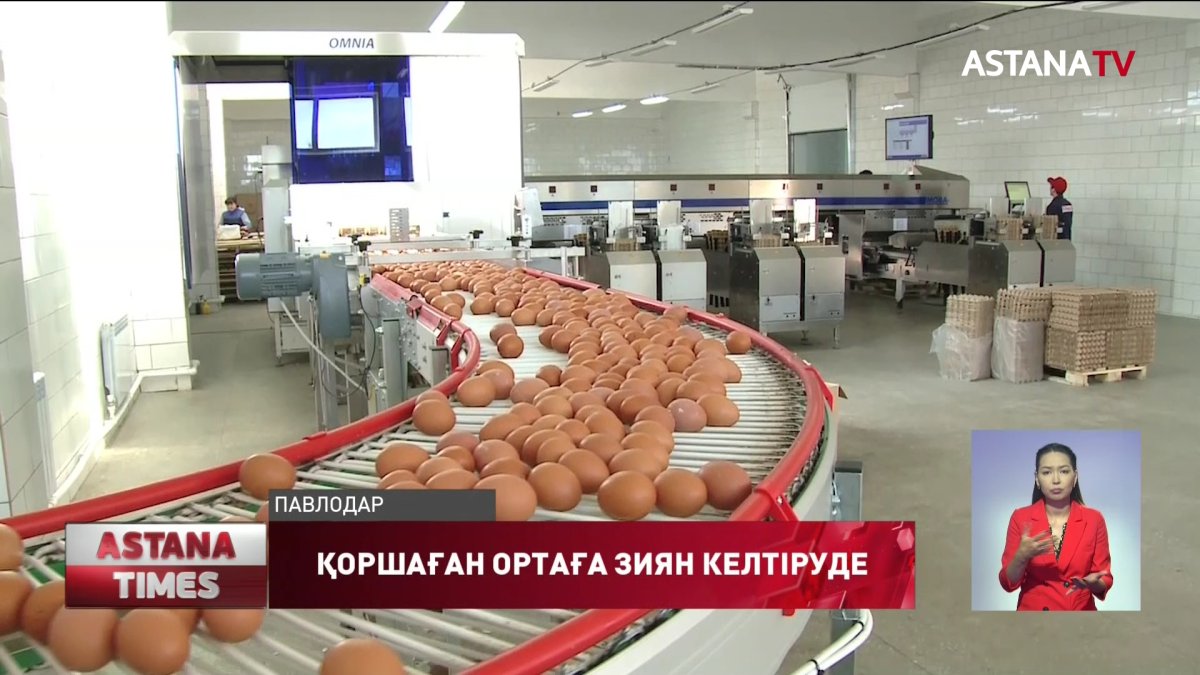 Павлодарда экологтар құс фабрикасы топырақ пен жерасты суын ластап жатыр – деп дабыл қақты