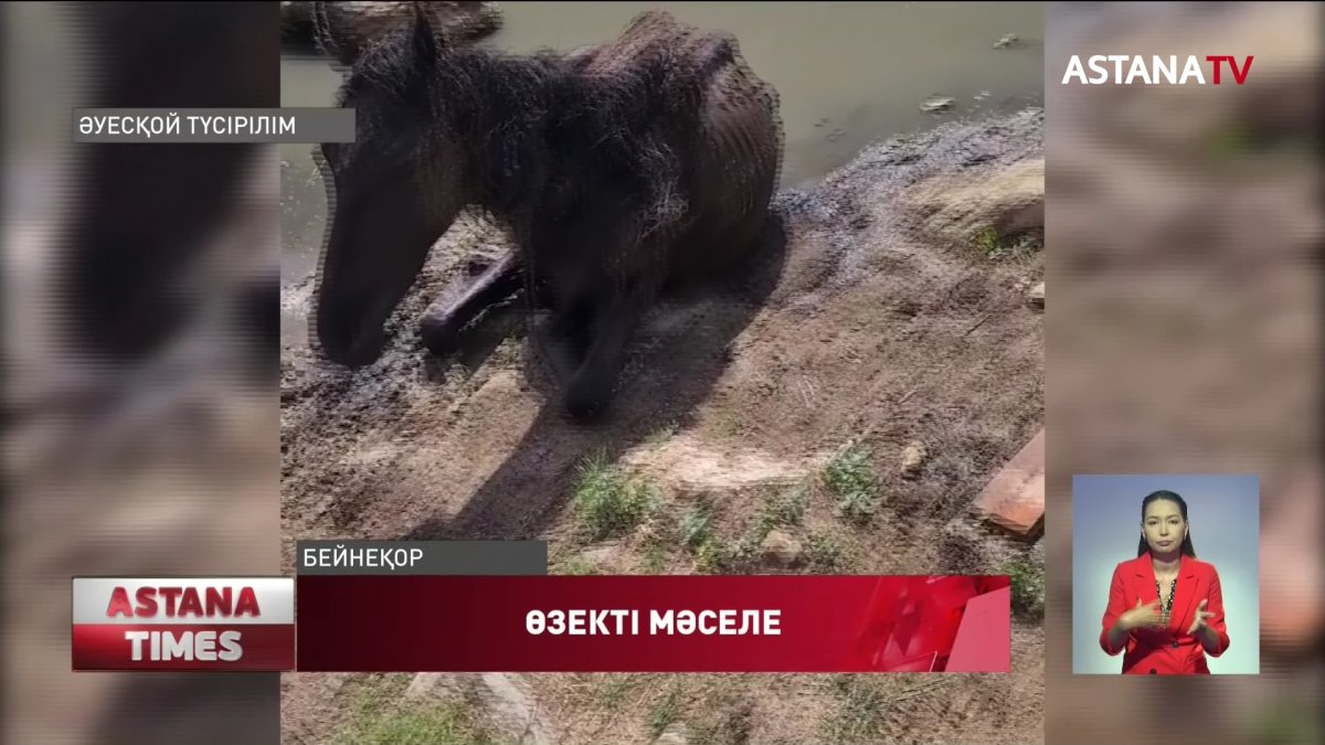 «Nur Otan» партиясы Маңғыстау облысында малдың қырылу себебін талқылады