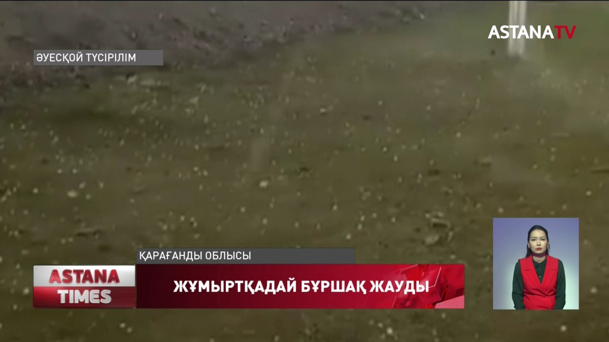 Қарағанды облысында көгершіннің жұмыртқасындай бұршақ жауды