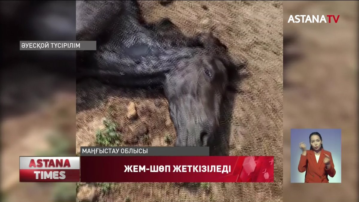 Маңғыстаудағы қуаңшылық мәселесін шешуге 204 миллион теңге бөлінді