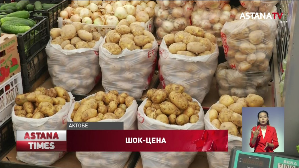 Цены на картофель взлетели до 500 тенге за килограмм в регионах ...