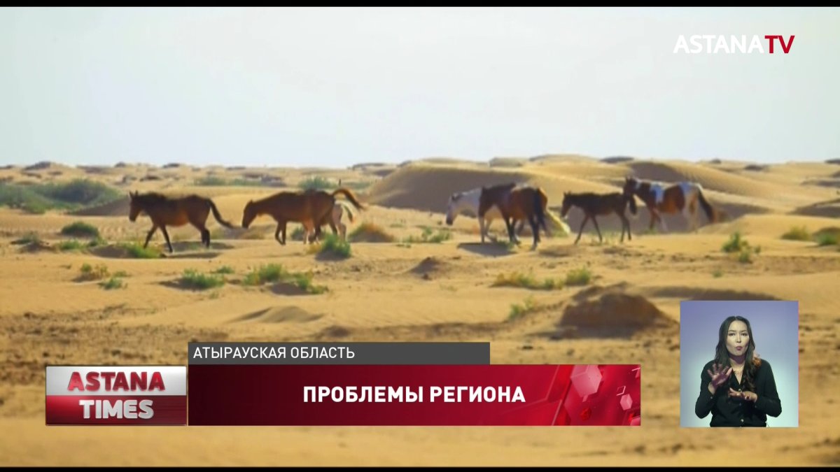 Об экологических проблемах на западе страны рассказали депутатам атыраусцы