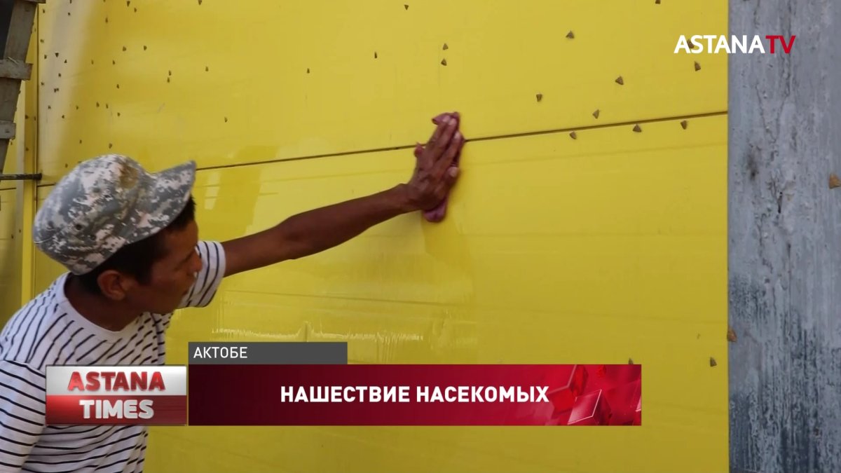 Без урожая может остаться Актюбинская область