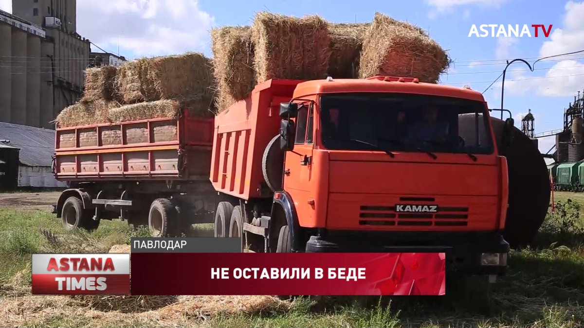 Павлодарские аграрии отправили 250 тонн сена в Мангистаускую область