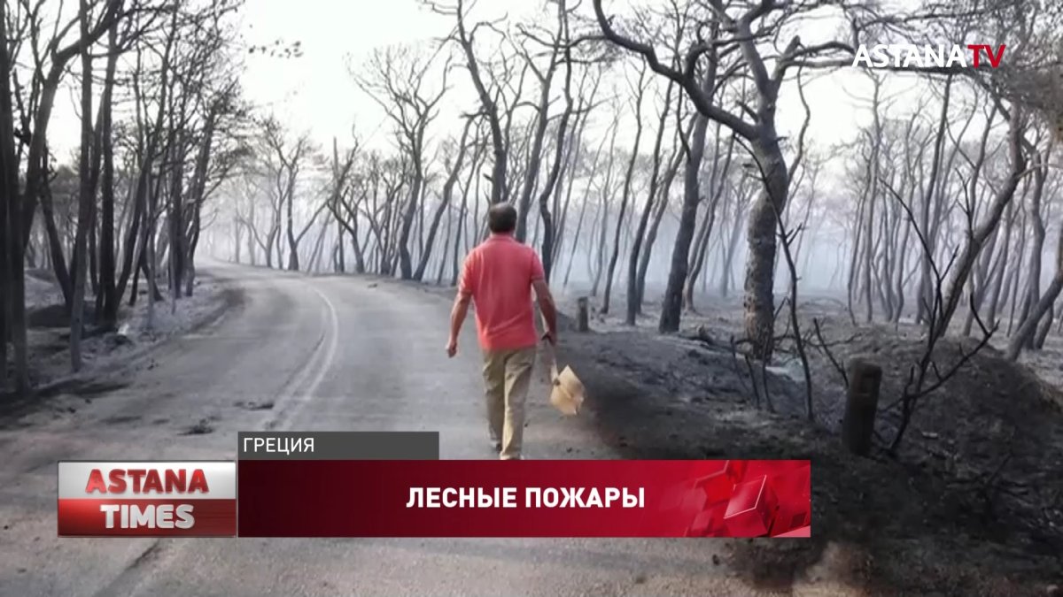 Тысячи людей покидают дома из-за пожаров в Греции
