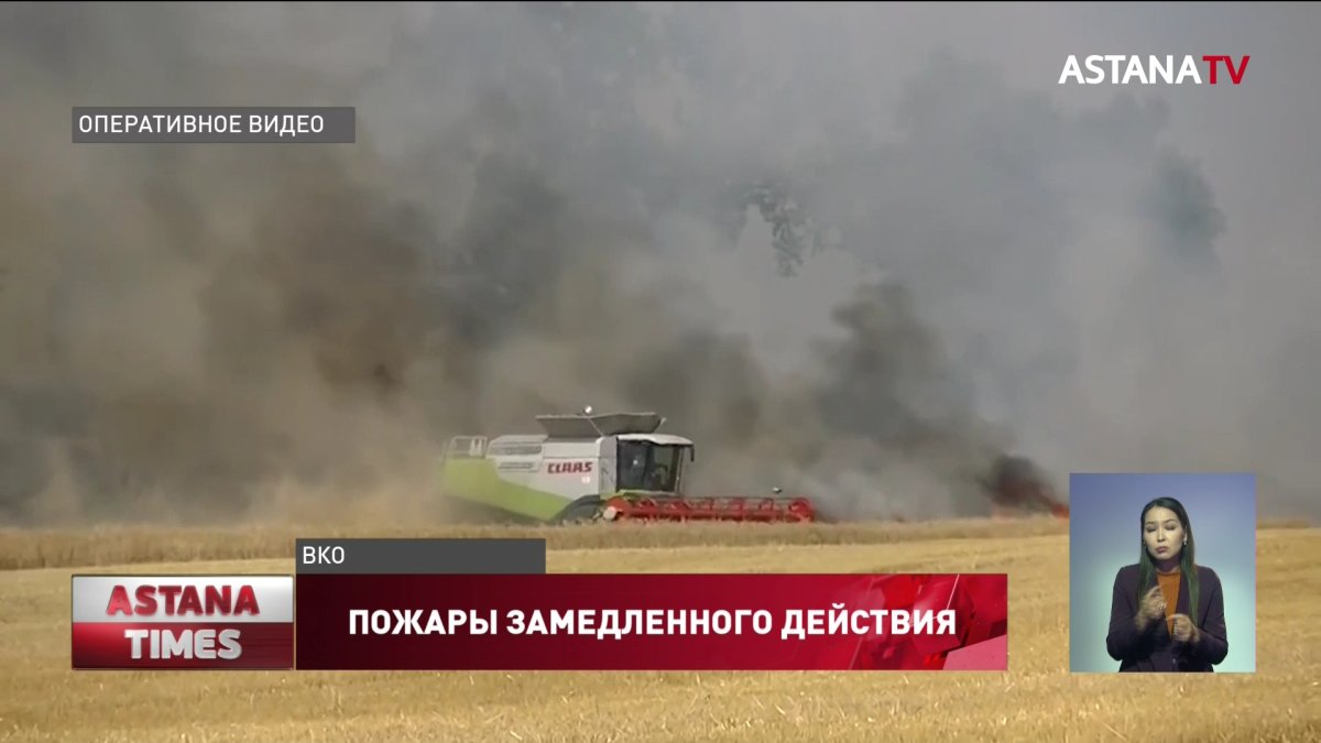 Голодная зима угрожает скоту из-за поджогов сена на востоке страны