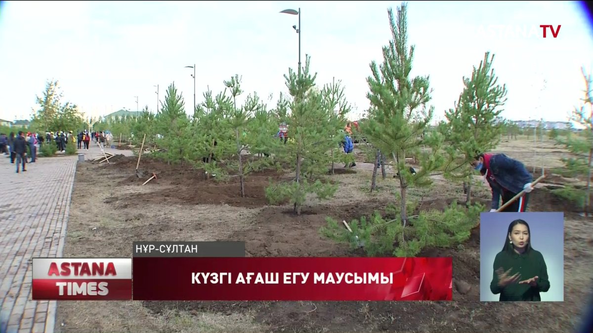 Елордада бір күнде 3 мыңға жуық ағаш егілді