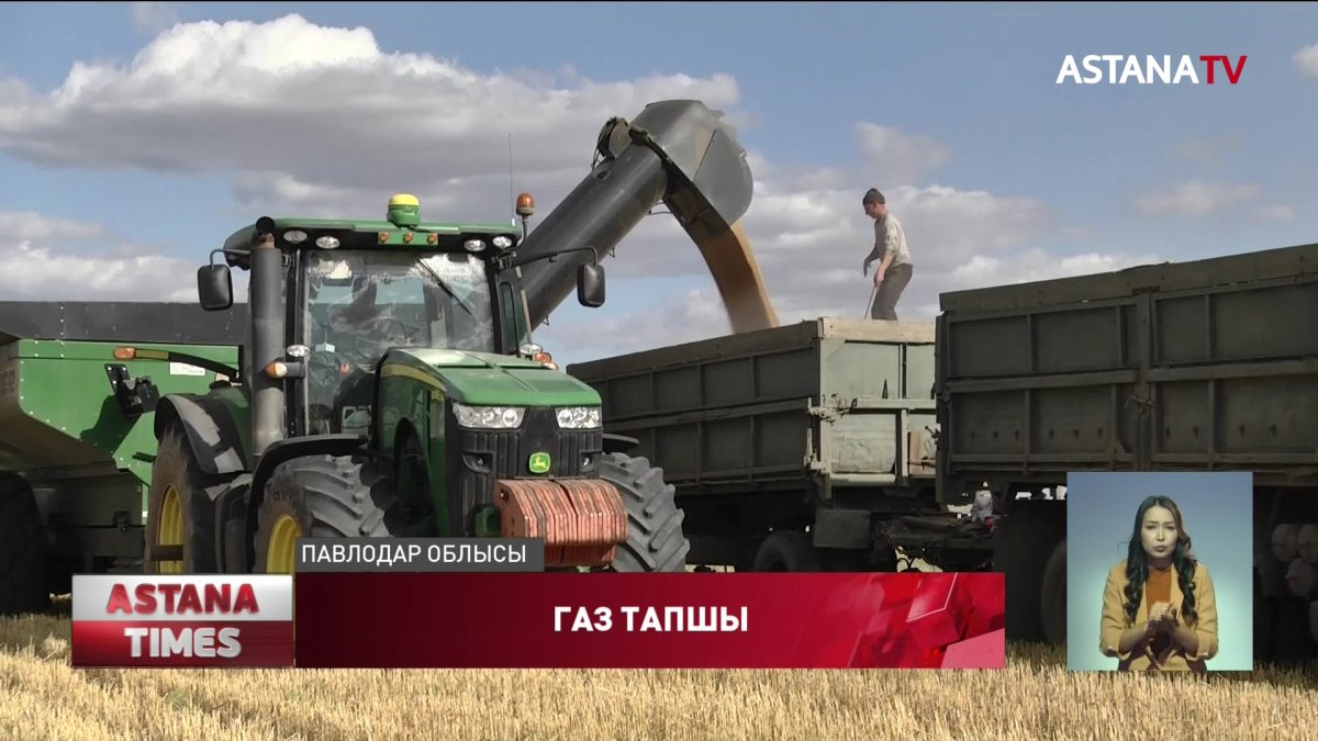 Жиналған астық шіріп кетуі мүмкін