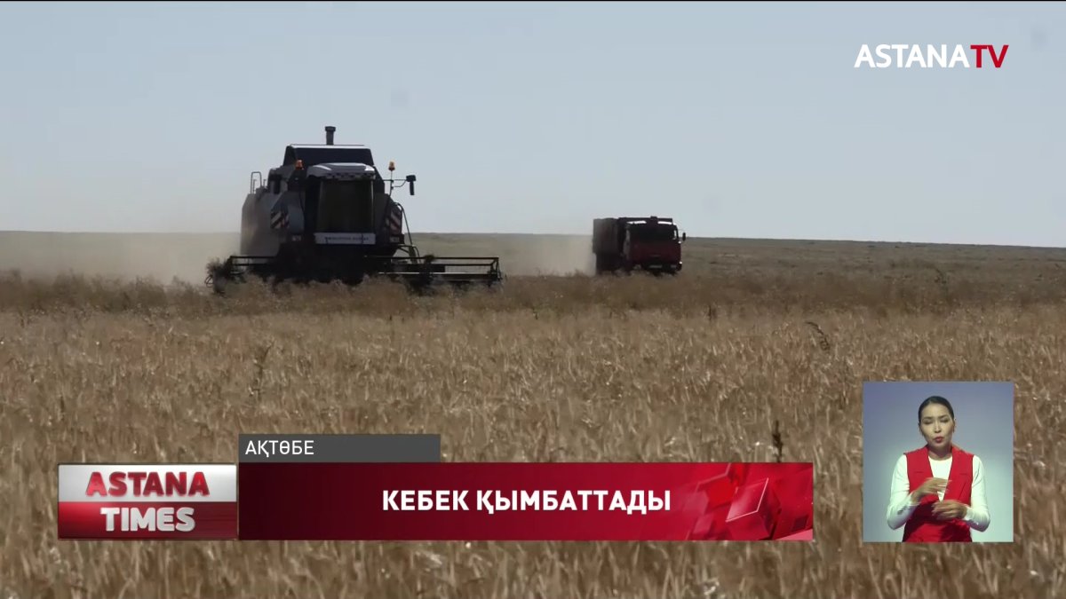 Шаруалар кебек бағасының қымбаттағанына наразы