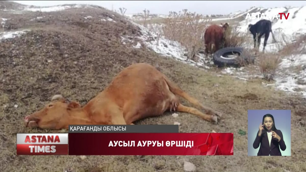 Қарағанды облысының Шет ауданында карантин жарияланды