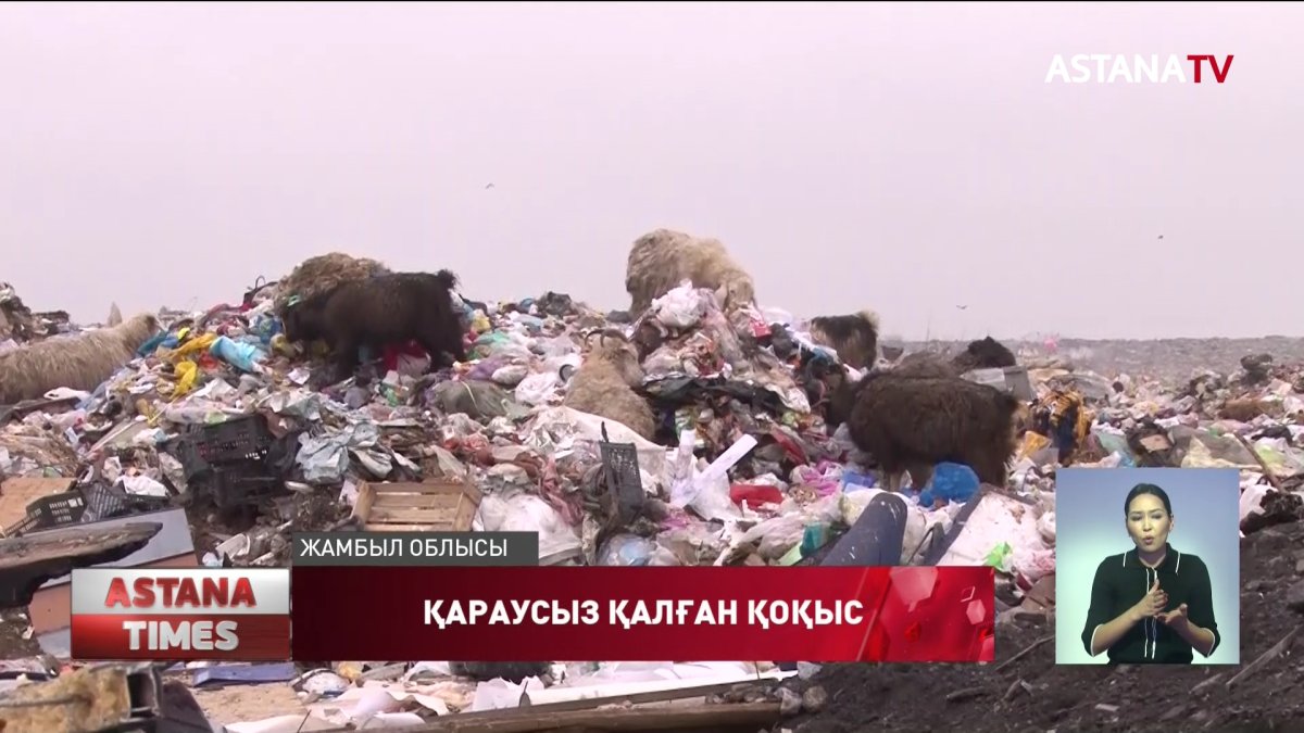 Тараздағы қоқыс полигоны қоршаудан асып, қоршаған ортаға зиянын тигізуде